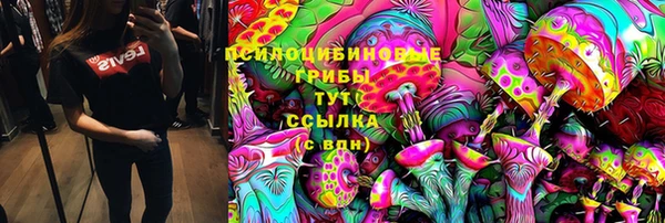 бошки Алексеевка