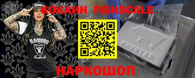 крисы Кулебаки