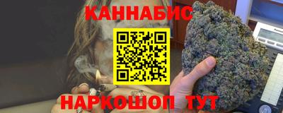 крисы Кулебаки