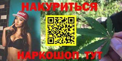 крисы Кулебаки