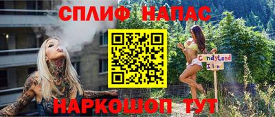 крисы Кулебаки