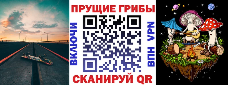 дарк нет Telegram  Качканар  Псилоцибиновые грибы мицелий 