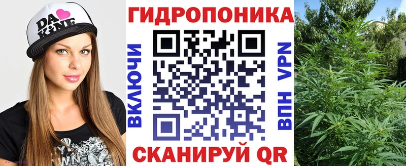 ОМГ ОМГ онион  Качканар  Бошки марихуана Bruce Banner 